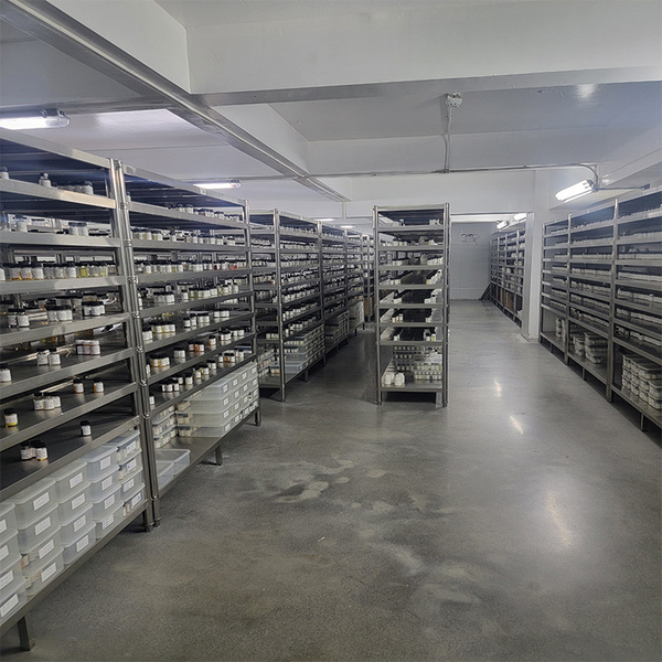 Porcellana Guangzhou plant fragrance Co., Ltd Profilo Aziendale