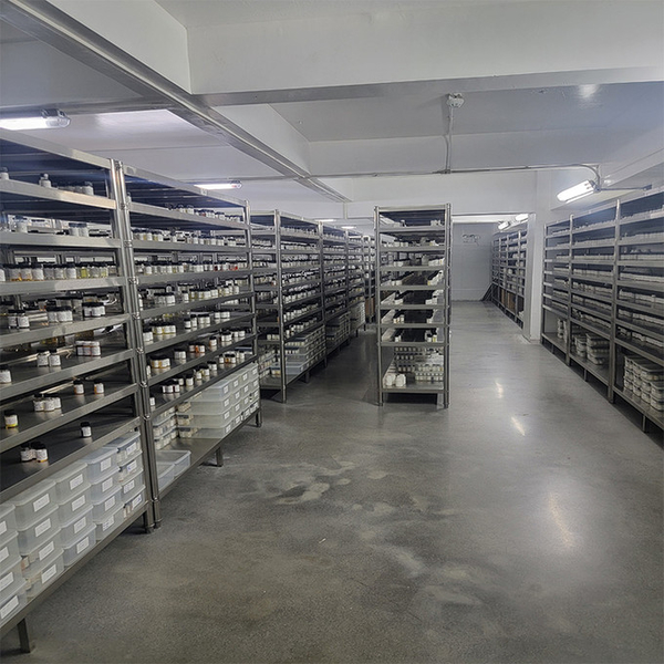 Guangzhou plant fragrance Co., Ltd linea di produzione del fabbricante