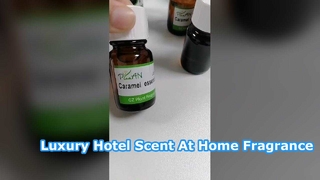 Trasforma la tua casa con l'olio profumato per la hall di un hotel di lusso