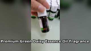Olio essenziale di margherita verde professionale per la creazione di profumi