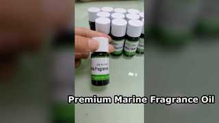 Mar Eterna Fragrance Oil Profumo marino premium per profumi