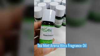 Olio profumato alla menta e tè per diffusori
