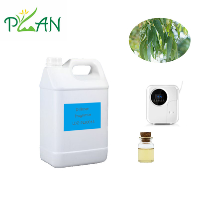 Eucalyptus Diffuser Fragrances Pure Natural France Fragrance di olio di tea tree