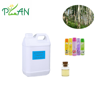 Estratto di piante araganiche Eucalyptus Fragrances Olio essenziale Affrescante d'aria Olio profumato