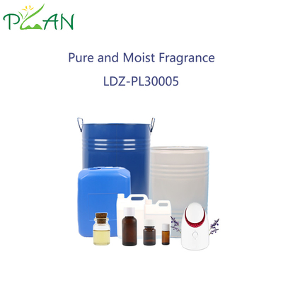 Campione gratuito Essenza di profumo pura e umida per diffusori canne di canna candele profumate