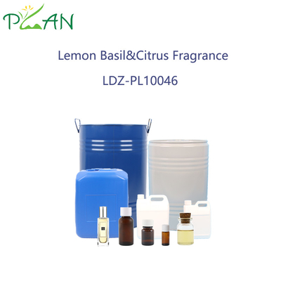 Basilico al limone e essenze di agrumi per la produzione di profumi di alta purezza