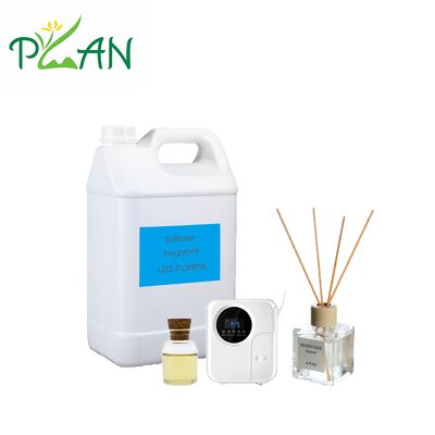 Perfume per diffusori di canna di purezza Olio essenziale di profumo Westin Per bastoncini di canna e candele profumate e diffusori