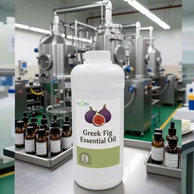 Oli Essenziali Puri Essenza di Fico Greco Per Profumeria / Produzioni Per Uso Quotidiano Con Campione Gratuito