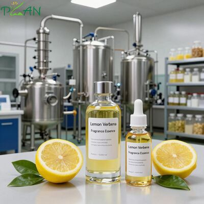 Fragranze per bagnoschiuma Essenza di fragranza di verbena al limone Olio per shampoo e bagnoschiuma e sapone profumato - IFRA