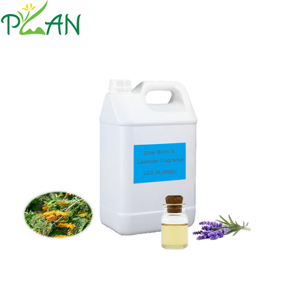 Campione gratuito di profumo per diffusore per la casa, olio profumato di betulla argentata e lavanda per bastoncini di bastoncino e candele profumate fredde e creazione/produzione di fragranze per diffusori 