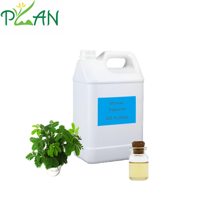Campione Gratuito Diffusore per Ambienti Fragranza Mimosa Olio Profumato per Bastoncini Diffusori & Candele Profumate a Freddo & Produzione/Fabbricazione Fragranze per Diffusori