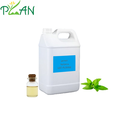 Hotel & Home Diffuser Fragrance Limone Verbena Aromatizzante Aromatizzante Essenza Olio Per Rigoletto Di Rana & Candela profumata fredda& Diffuser Fragrance Making/Production With Free Sample